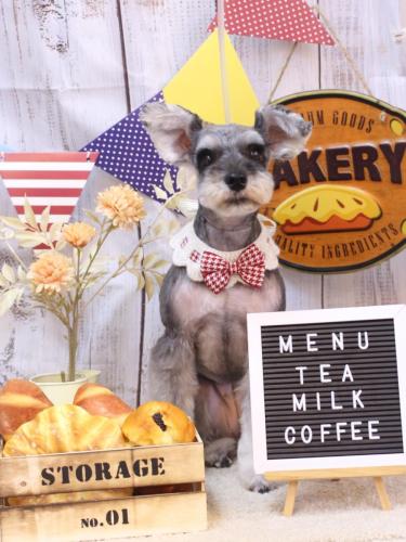 20240924むぎちゃん